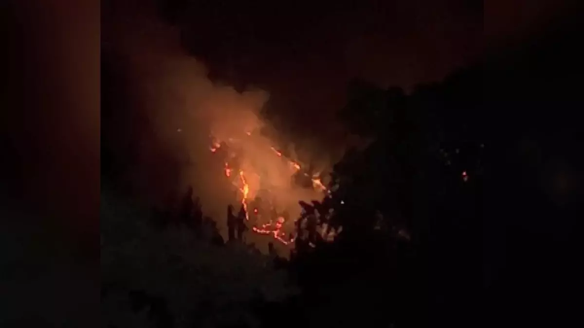 İznik’te Orman Yangınına Karadan Müdahale Devam Ediyor