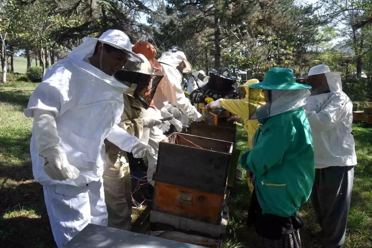 Düzce Üniversitesi’nde Bal Arısı Zehri Üretim Kursu Düzenlendi