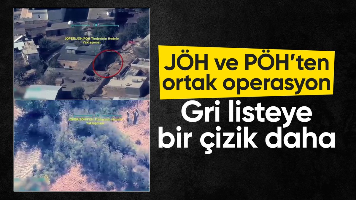 Mardin’de gri kategorideki terörist öldürüldü