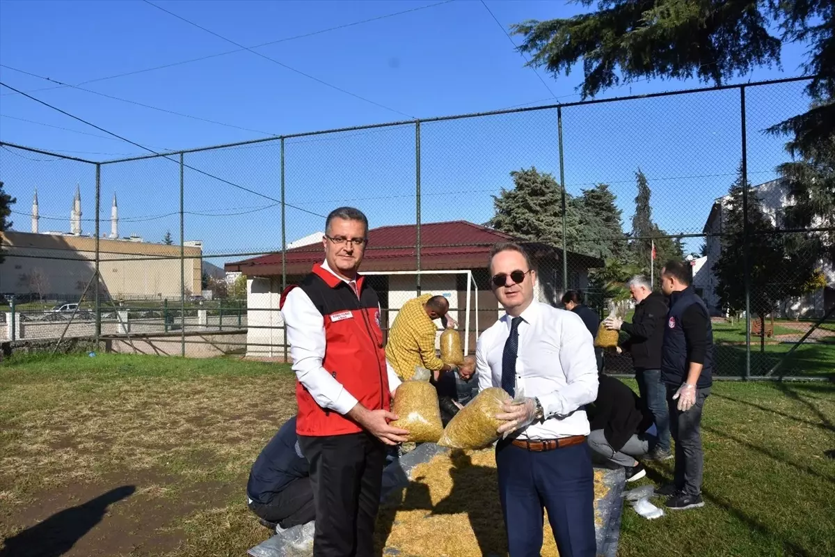 Ordu’da Mantar Kursu Sona Erdi