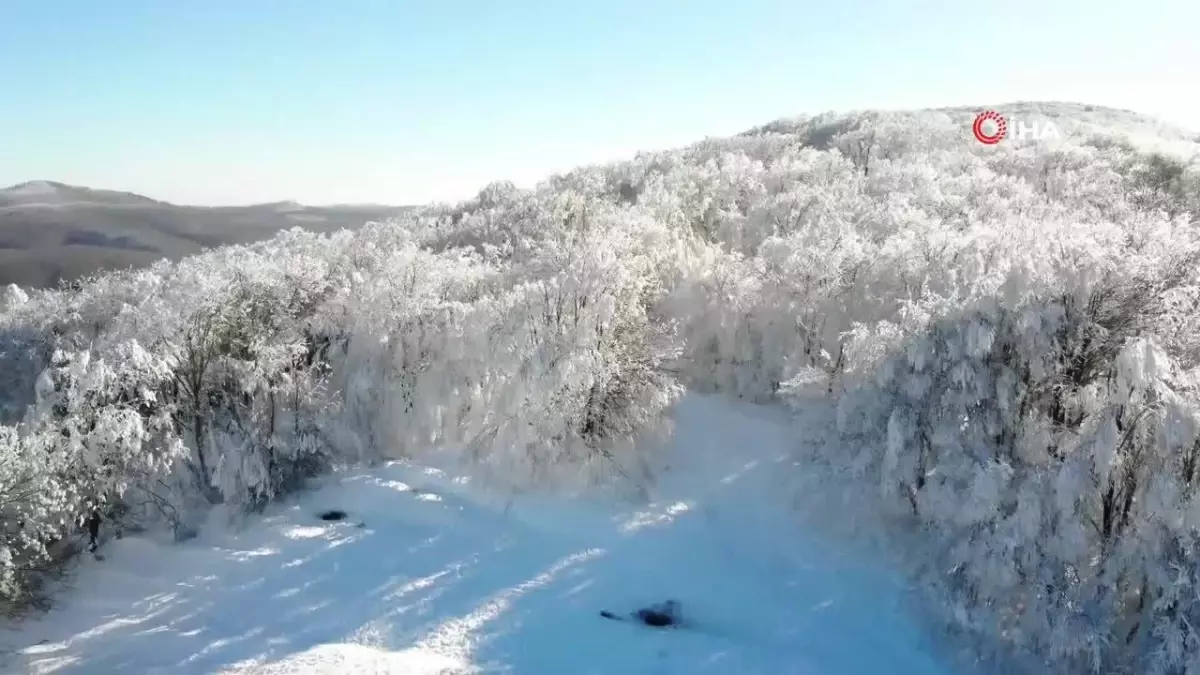 Kırklareli’nde Büyüleyici Kar Manzaraları