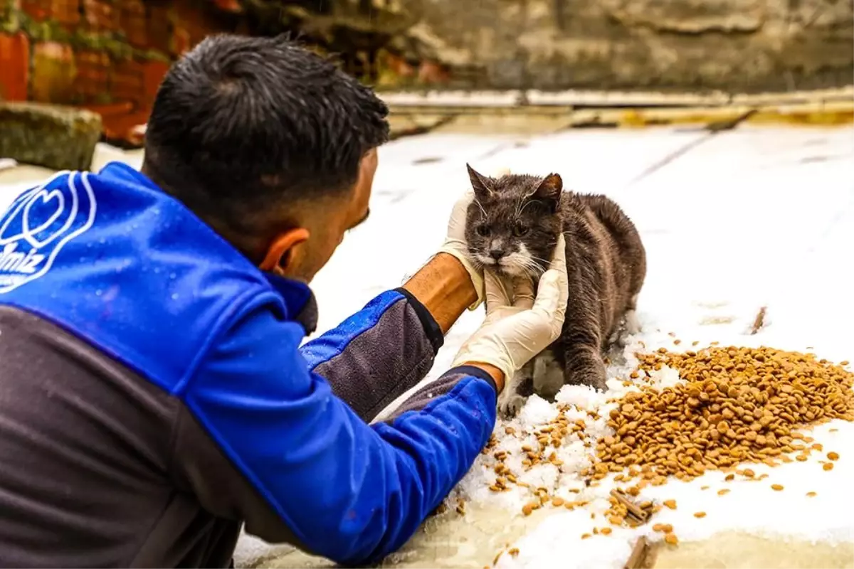 Gaziosmanpaşa’dan Sokak Hayvanlarına Destek