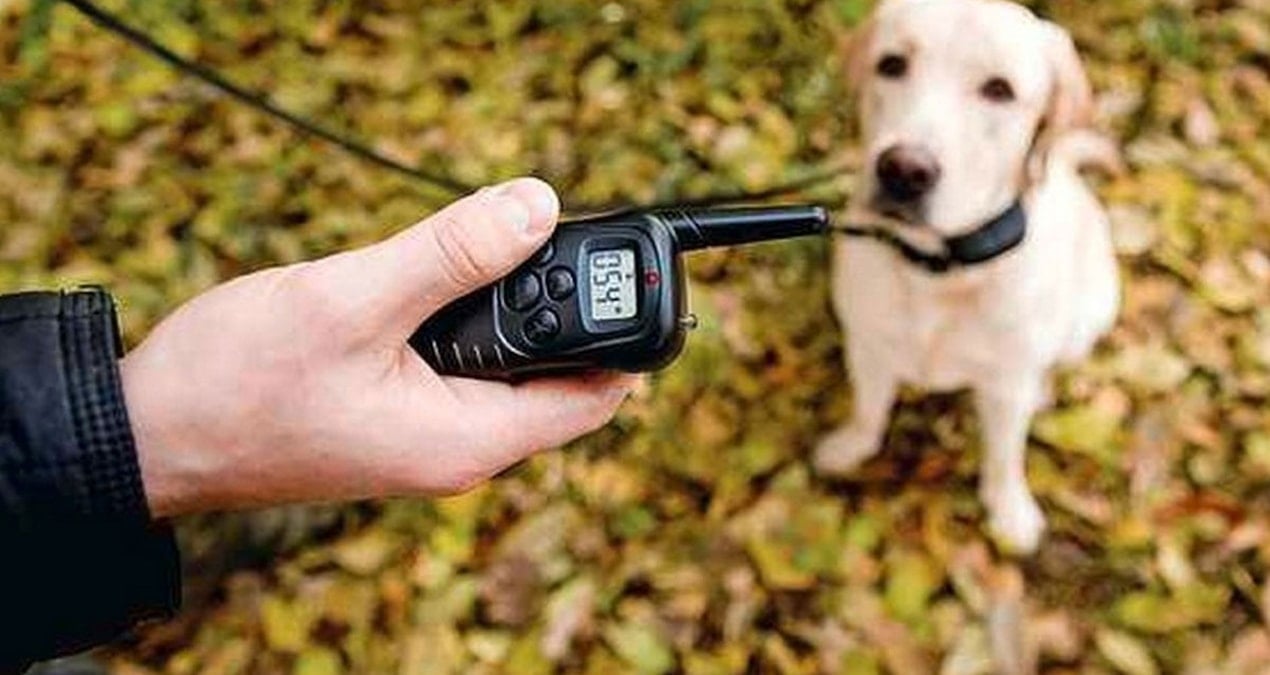 Süregelen işkenceyi öğretmenleri fark etti: Çocuğuna zulmeden anne tutuklandı